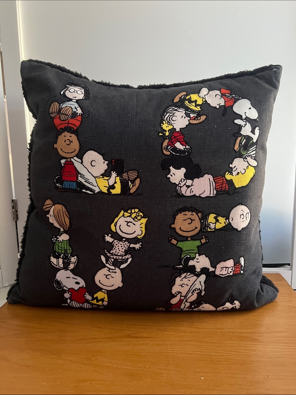 Pottery Barn Peanuts "LOVE" Happy Valentine's Day pillow snoopy Linus 16x16